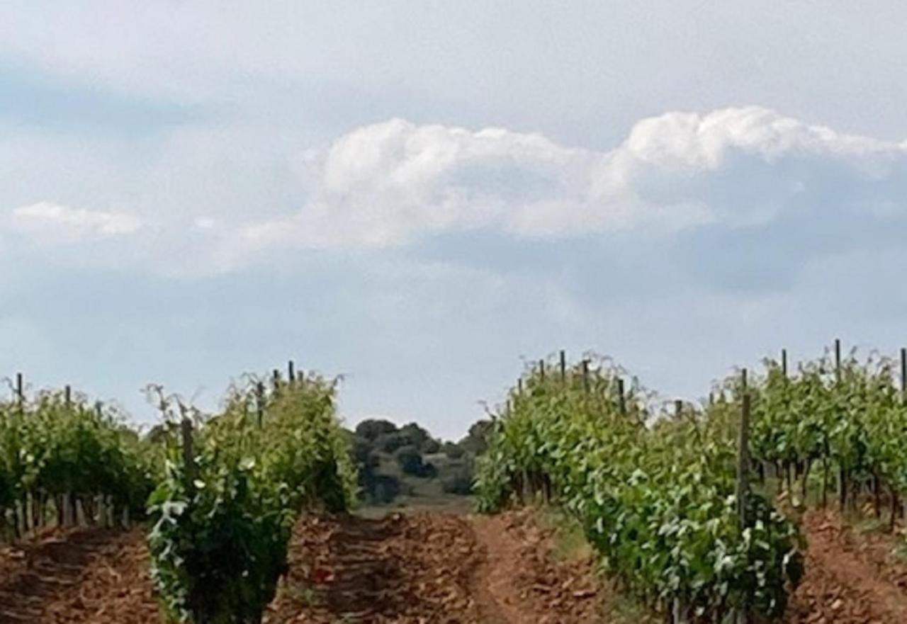 Apartamento Turistico Cerca Aranda De Duero La Ren Lecres Vadocondes Kültér fotó