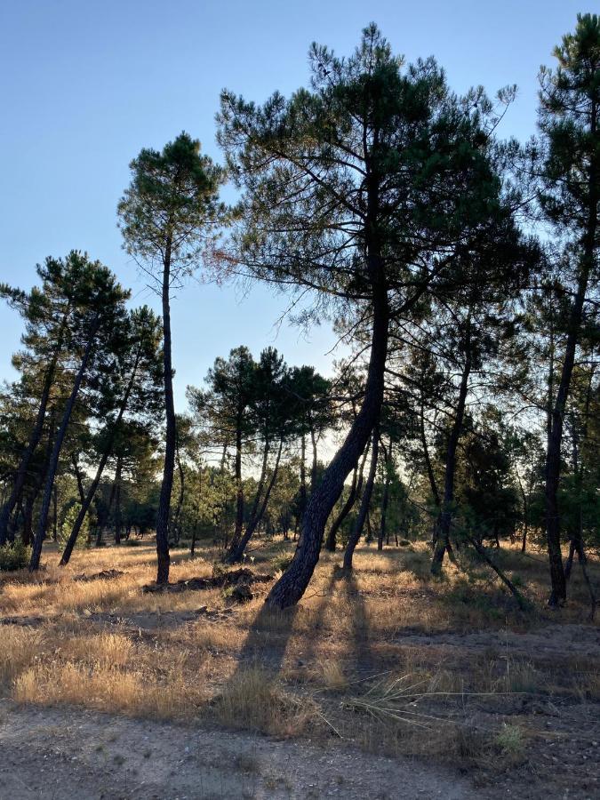 Apartamento Turistico Cerca Aranda De Duero La Ren Lecres Vadocondes Kültér fotó